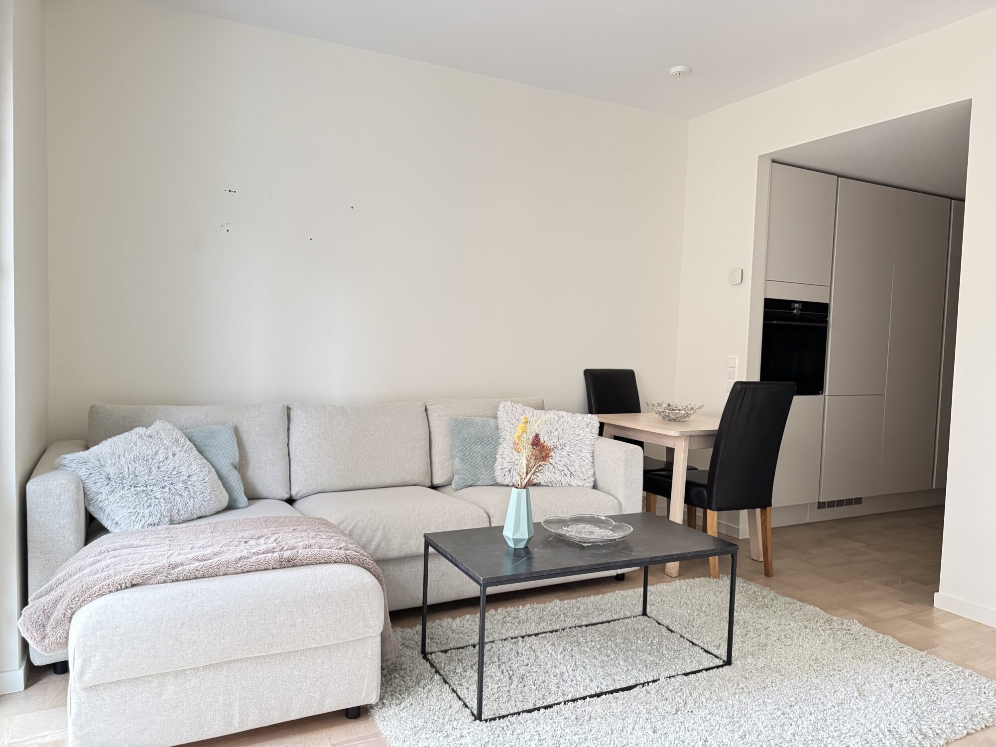 Sonja Kovalevskys Gata